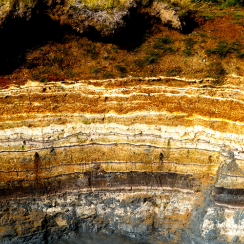 Geologic Past Ringold Formation REACH Museum