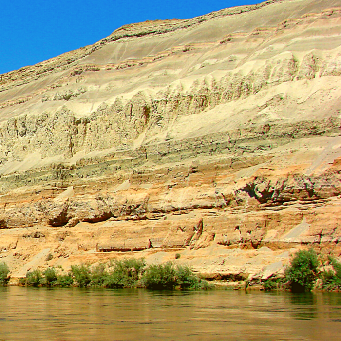 Geologic Past Ringold Formation REACH Museum