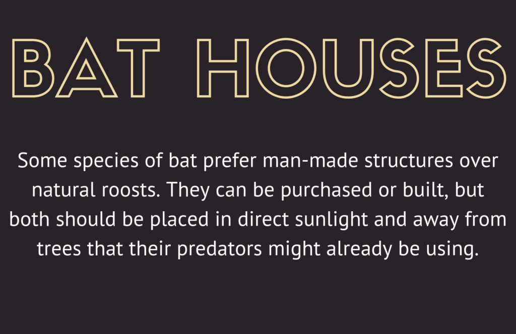 Bat Houses