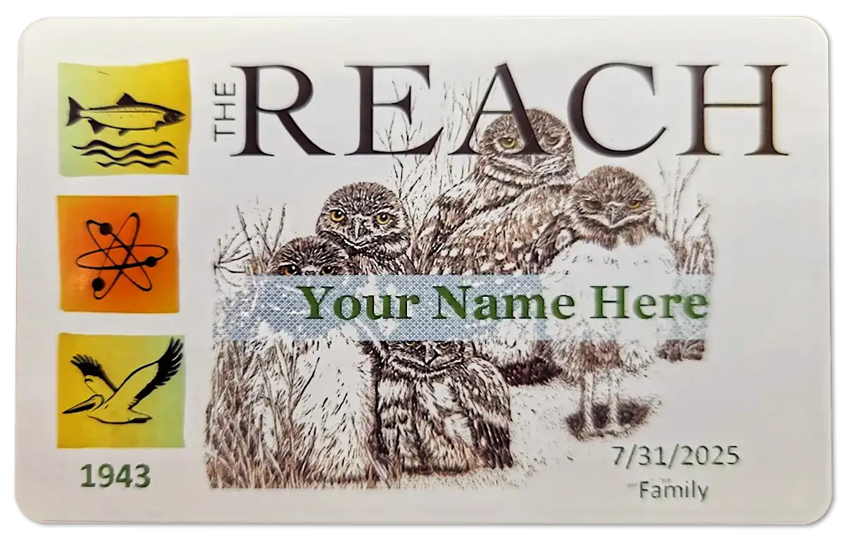 REACH Membership card