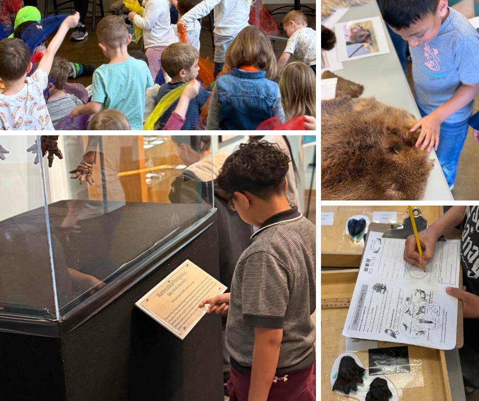 collection of images showing the different education programs provided at the REACH Museum.