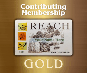Gold Membership Card