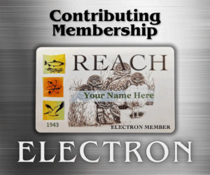 Electron Membership Card
