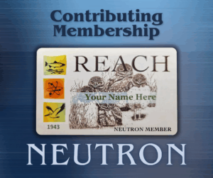 Neutron Membership Card