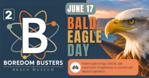 B² Boredom Busters Bald Eagle Day event graphic featuring a bald eagle and hands-on STEAM activities at the REACH Museum.