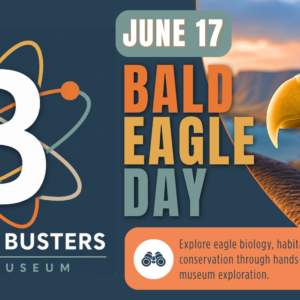 B² Boredom Busters Bald Eagle Day event graphic featuring a bald eagle and hands-on STEAM activities at the REACH Museum.