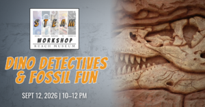 Dinosaur skull fossils embedded in rock for the STEAM Workshop: Dino Detectives & Fossil Fun at the REACH Museum.