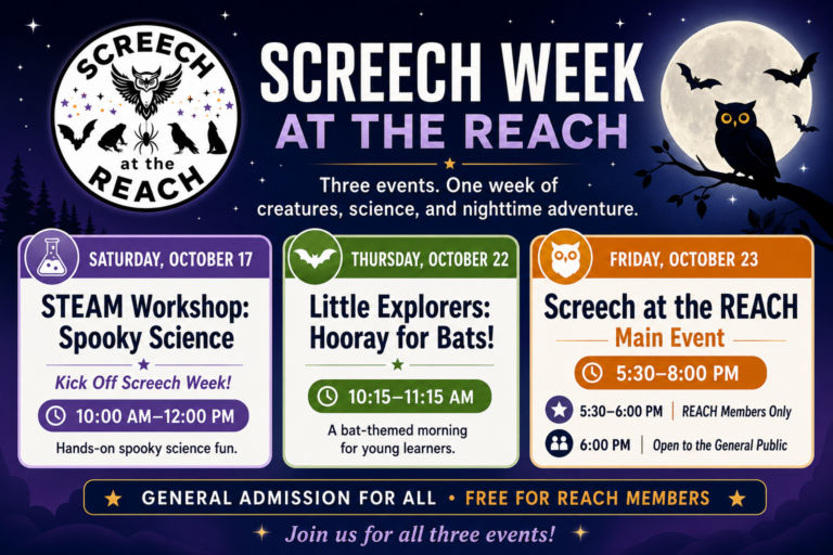 Screech Week at the REACH event graphic featuring STEAM Workshop: Spooky Science on October 17, Little Explorers: Hooray for Bats! on October 22, and Screech at the REACH on October 23, 2026.