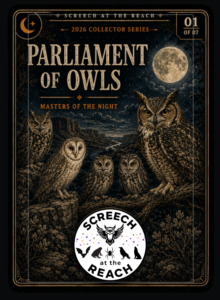 Illustrated owls gathered in a moonlit canyon, framed by an ornate gold border.