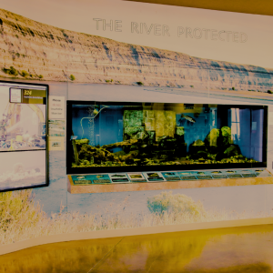 aquarium